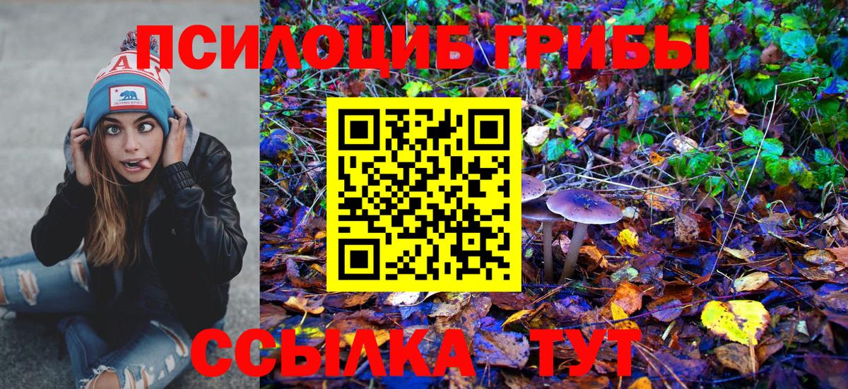Псилоцибиновые грибы GOLDEN TEACHER  Галлюциногенные грибы мухоморы  где купить наркоту  Вход с VPN  Кингисепп 